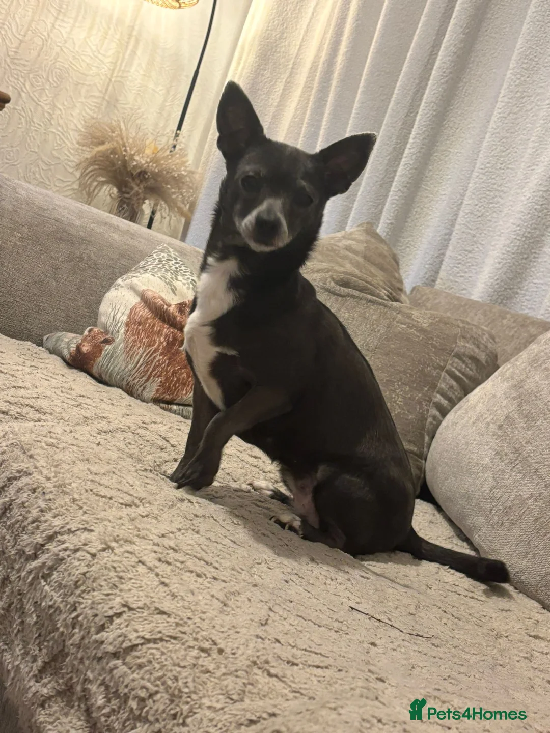 Gallery Image {{count}}