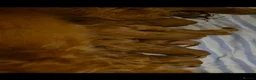 Cocker Spaniel dogs for stud: Cocker spaniel stud in Carluke - Advert 8