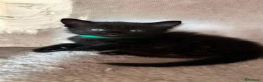Jade