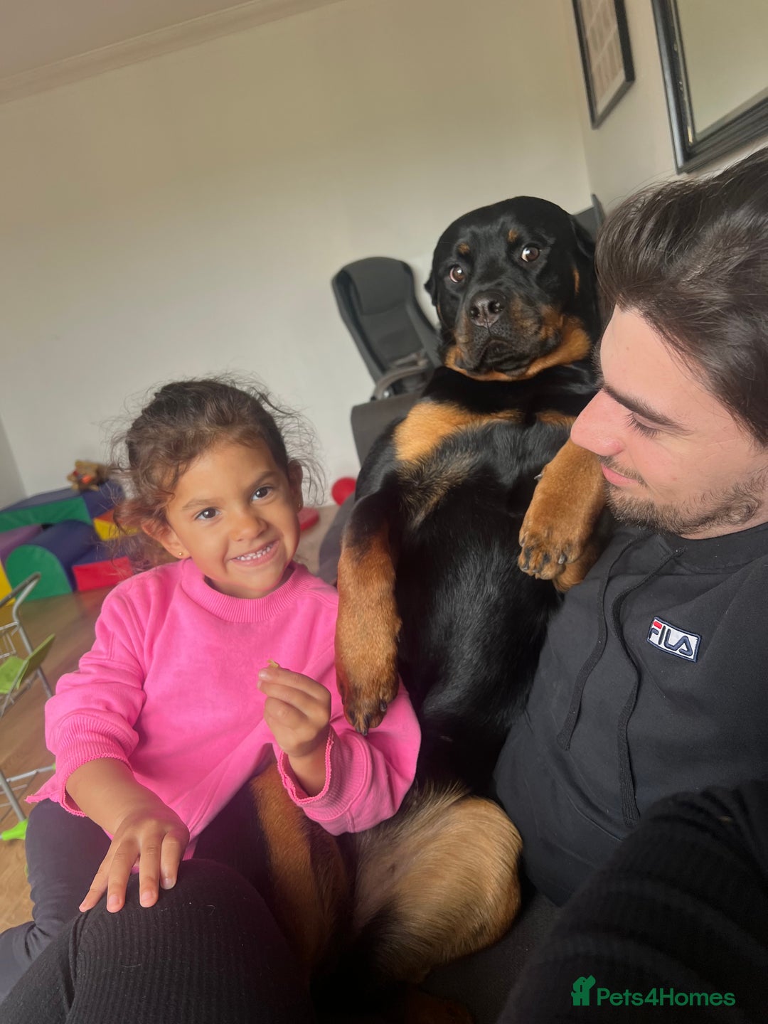 Rottweiler dogs for sale: Kia rotty - Image 3
