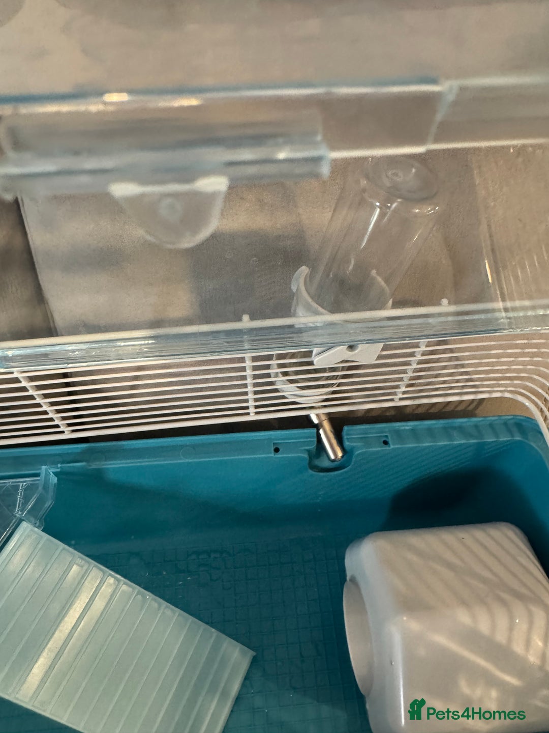 Hamster rodents for sale: Hamster cage set up with everything u need - Image 10
