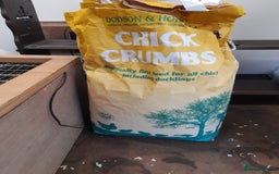 Chickens poultry for sale: Mixed breed chicks and set up - Image 4