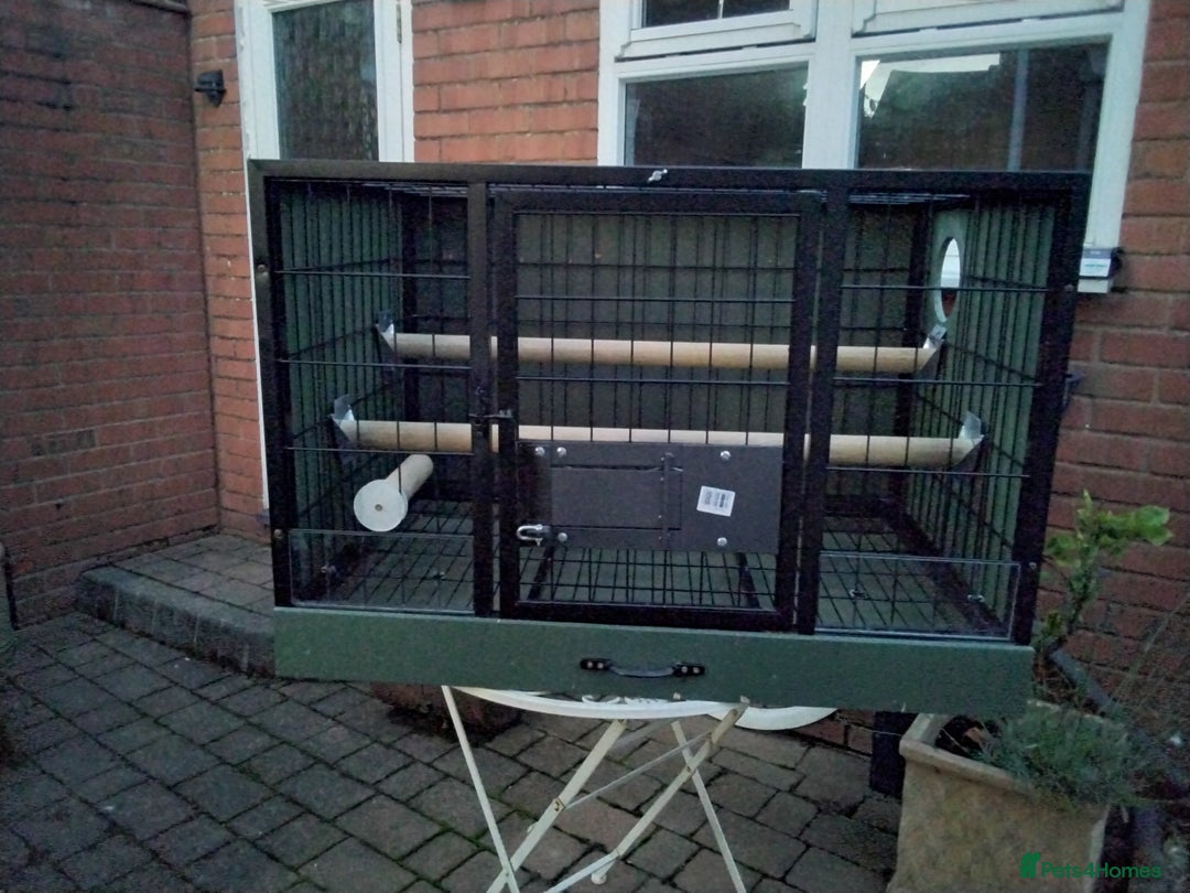 Parrots birds for sale: Breeding cages for parrots - Advert 1