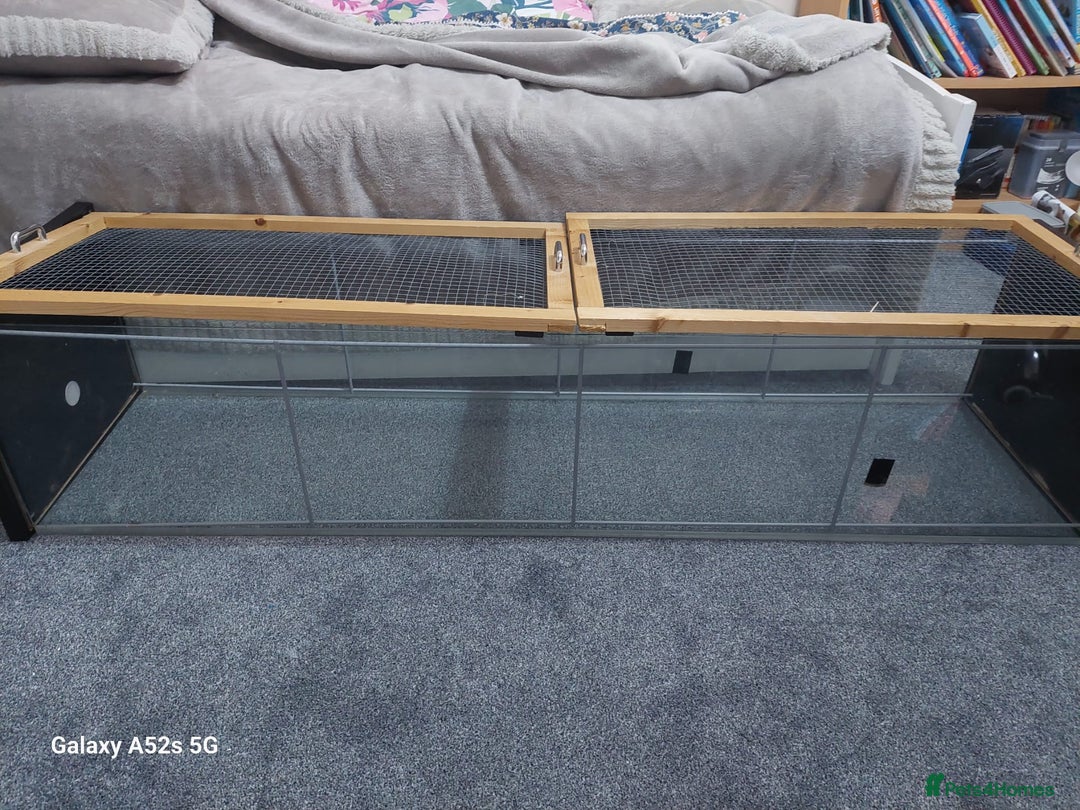 Hamster rodents for sale: HAMSTER CAGE! - Image 2