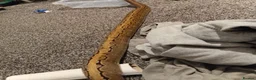 Python Snake reptiles for sale:  Ball python Beautiful morphs for sale  - Advert 5