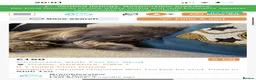 Shih Tzu dogs for stud: Chocolate Shih Tzu for Stud - Advert 4