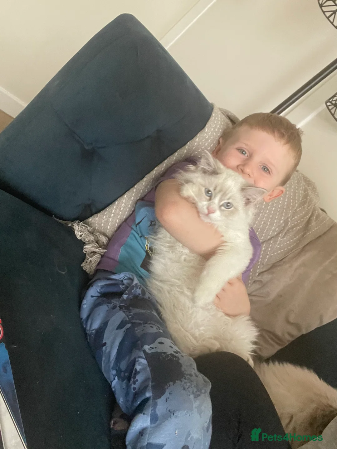 Gallery Image {{count}}