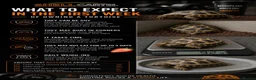 Tortoise reptiles for sale: Hermanns tortoise - Advert 4
