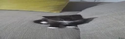 Mixed Breed cats for sale: Two female black and white kittens for sale - Advert 6