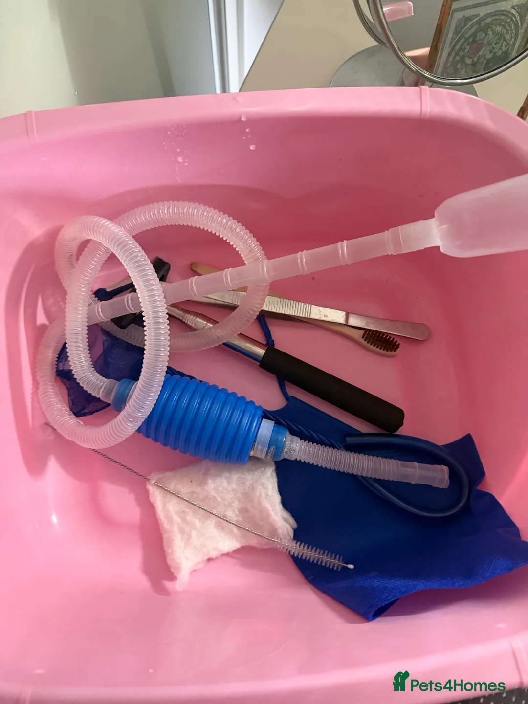 Bettas fish for sale: Fish setup and accessories  in London - Advert 3