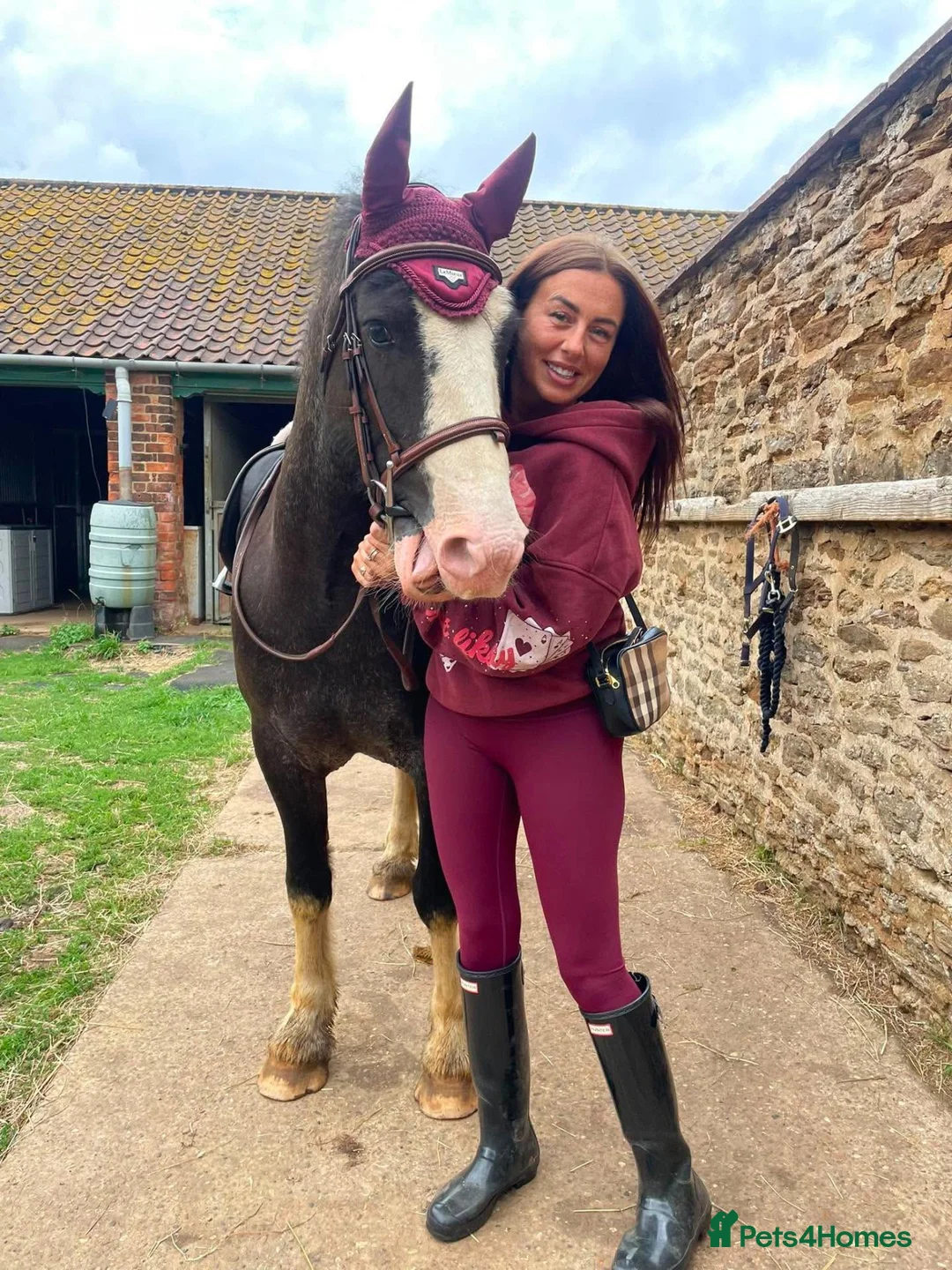 Other Breed horses for sale: 14.1hh, 8-year-old Cob in Scunthorpe - Advert 6