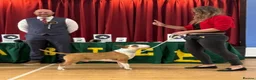 Bull Terrier dogs for stud: Stud English Bull Terrier  - Advert 7