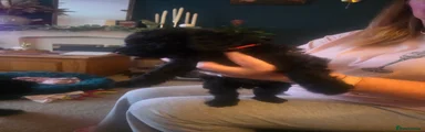 Cockapoo 1