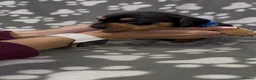 Miniature Dachshund dogs for sale:  Miniature Dachshund Puppies - Advert 13