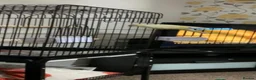 Parrots birds for sale: Quaker Parrot with Cage & Accessories - Advert 6