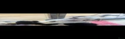 French Bulldog dogs for sale: Fluffy French bulldogs looking for their forever  - Advert 22