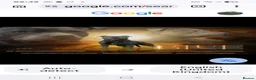 Staffordshire Bull Terrier dogs for sale: Staffordshire bull  - Advert 13