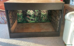 Bearded Dragon reptiles for sale: 4 ft Vivarium  - Image 2