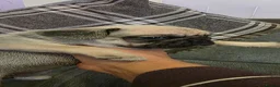 Frug dogs for sale: Amazing frug baby's  - Advert 6