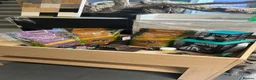 Tortoise reptiles for sale: Various Tortoises At Urban Exotics - Advert 19