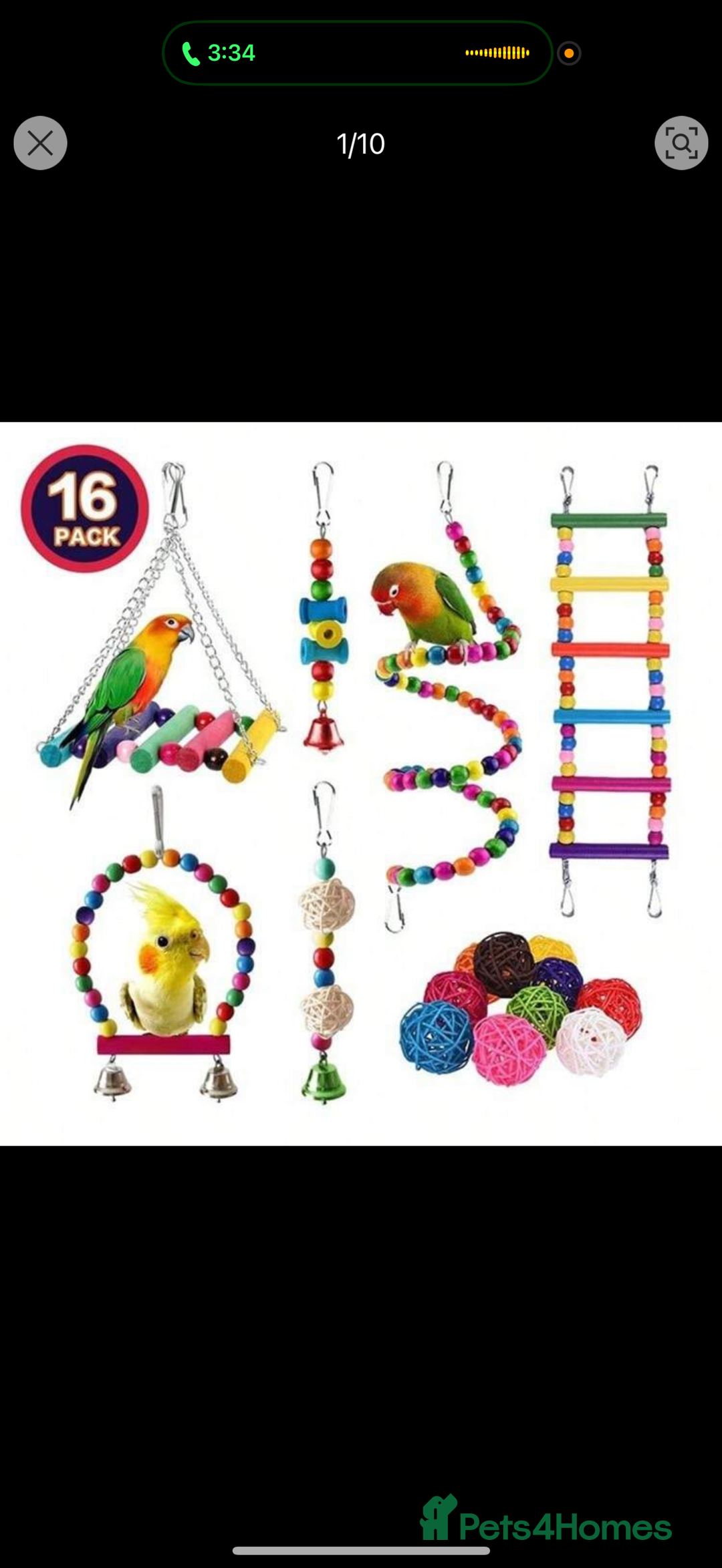 Budgerigars birds for sale: Budgie for sale  - Image 16