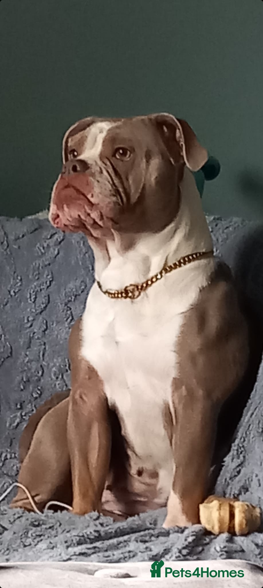 Penny