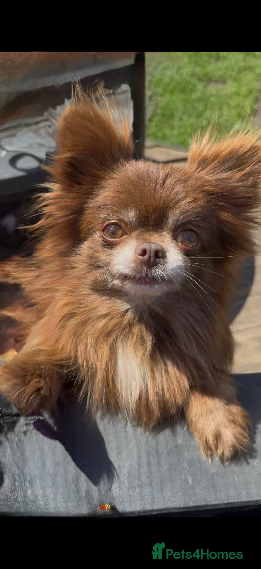 Gallery Image {{count}}