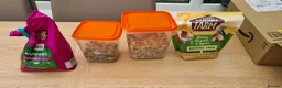Hamster rodents for sale: Winter White dwarf hamster with cage and supplies in Dartford - Advert 20