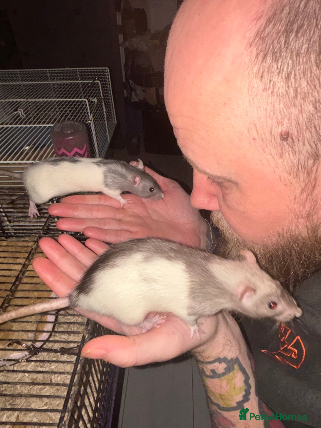 Gallery Image {{count}}