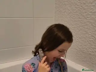 Corn Snake reptiles Lilac corn snake Boy - Advert 4