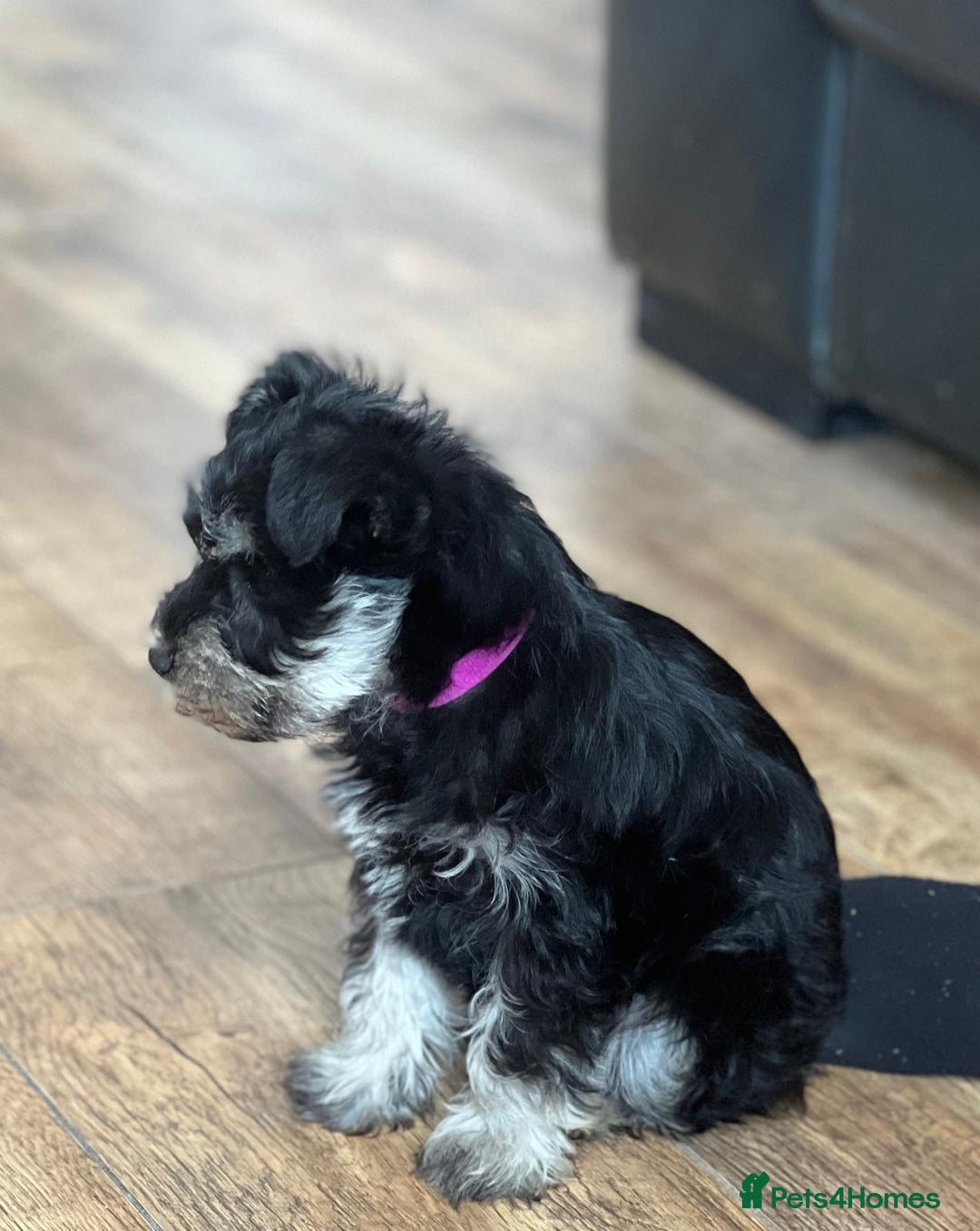 Gallery Image {{count}}