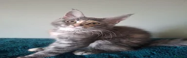 Galadriel
