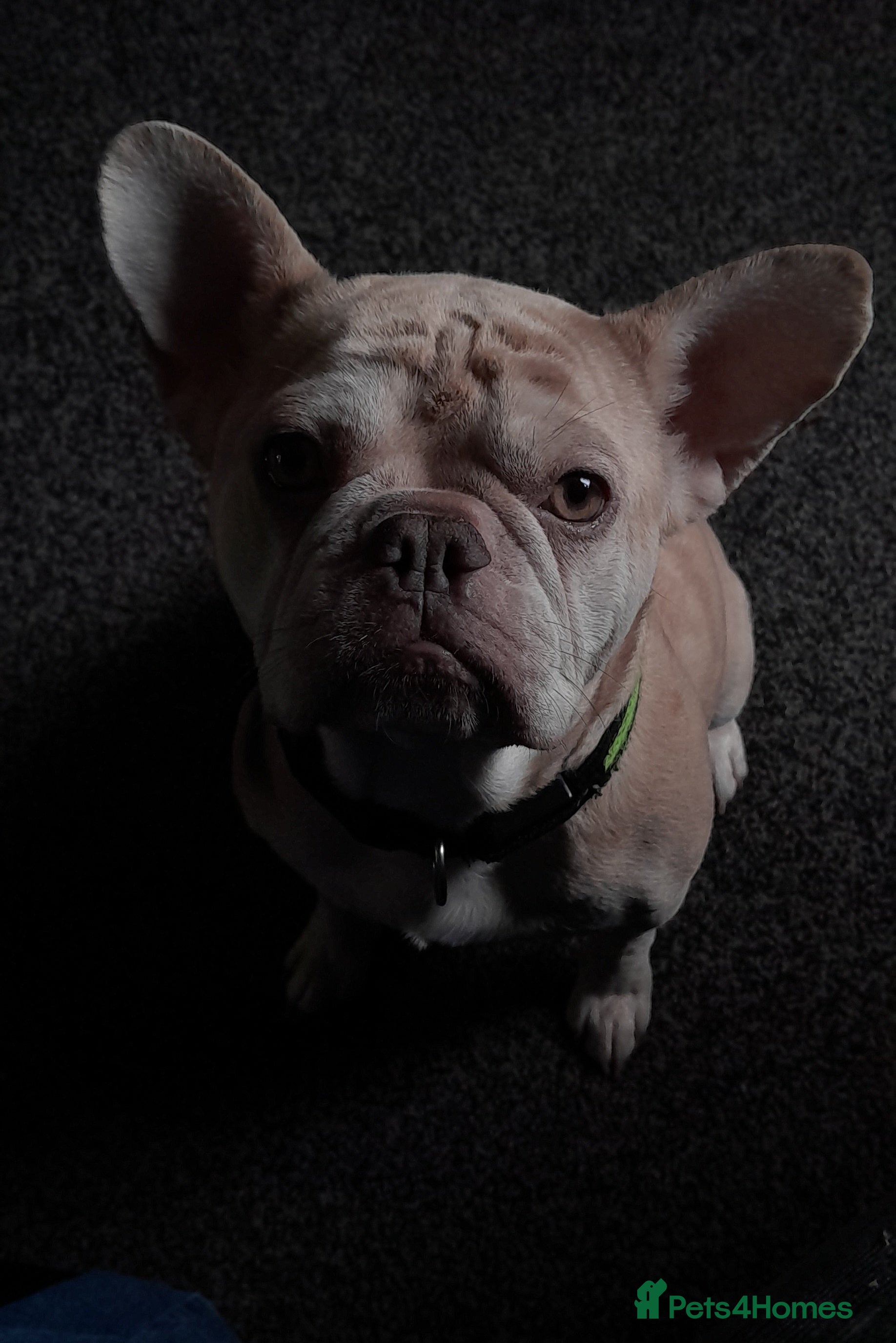 Coco