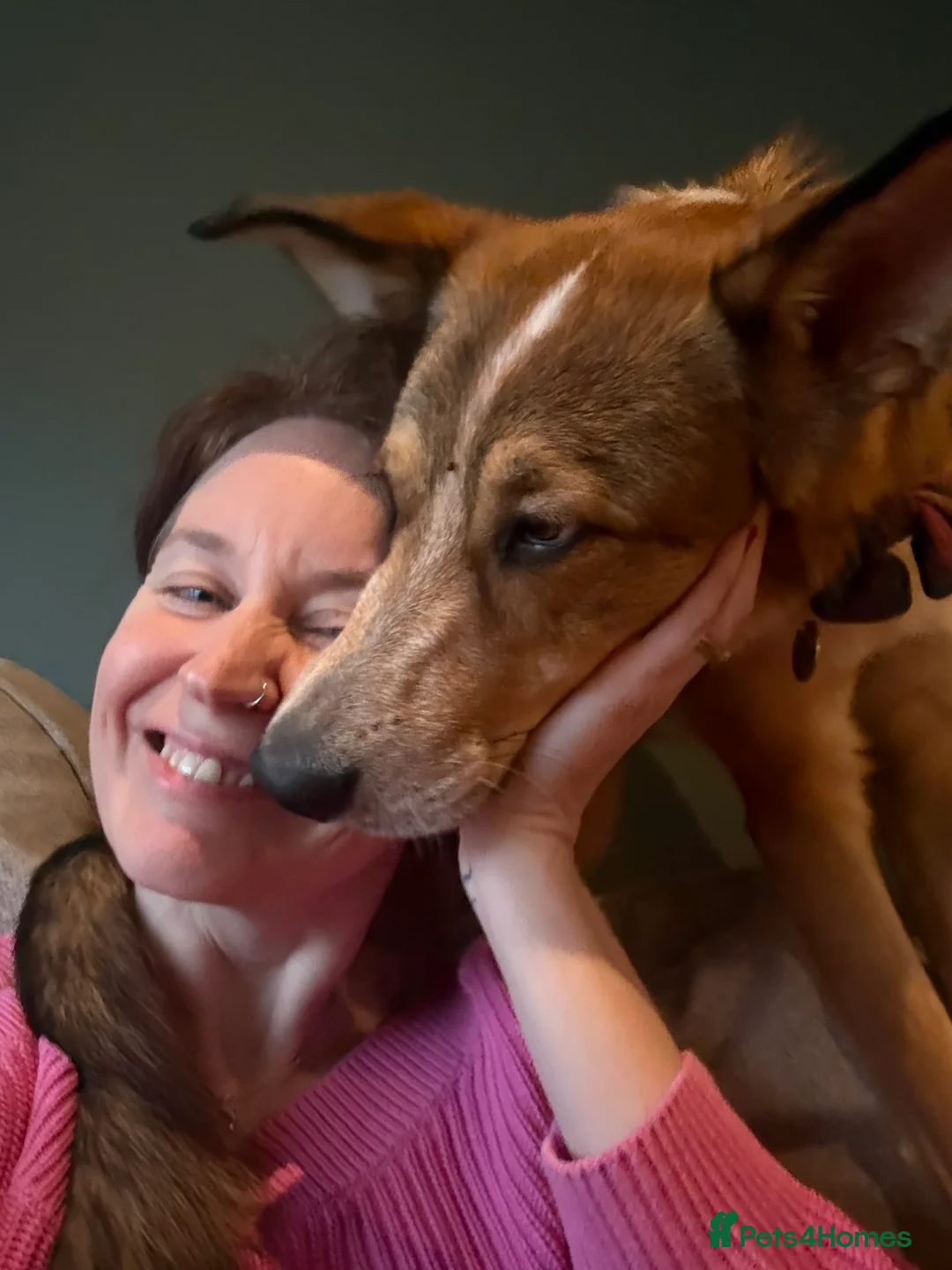 Gallery Image {{count}}