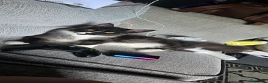 Tank