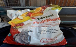 Macaws birds for sale: Blue & Gold Macaw For Sale - Image 11