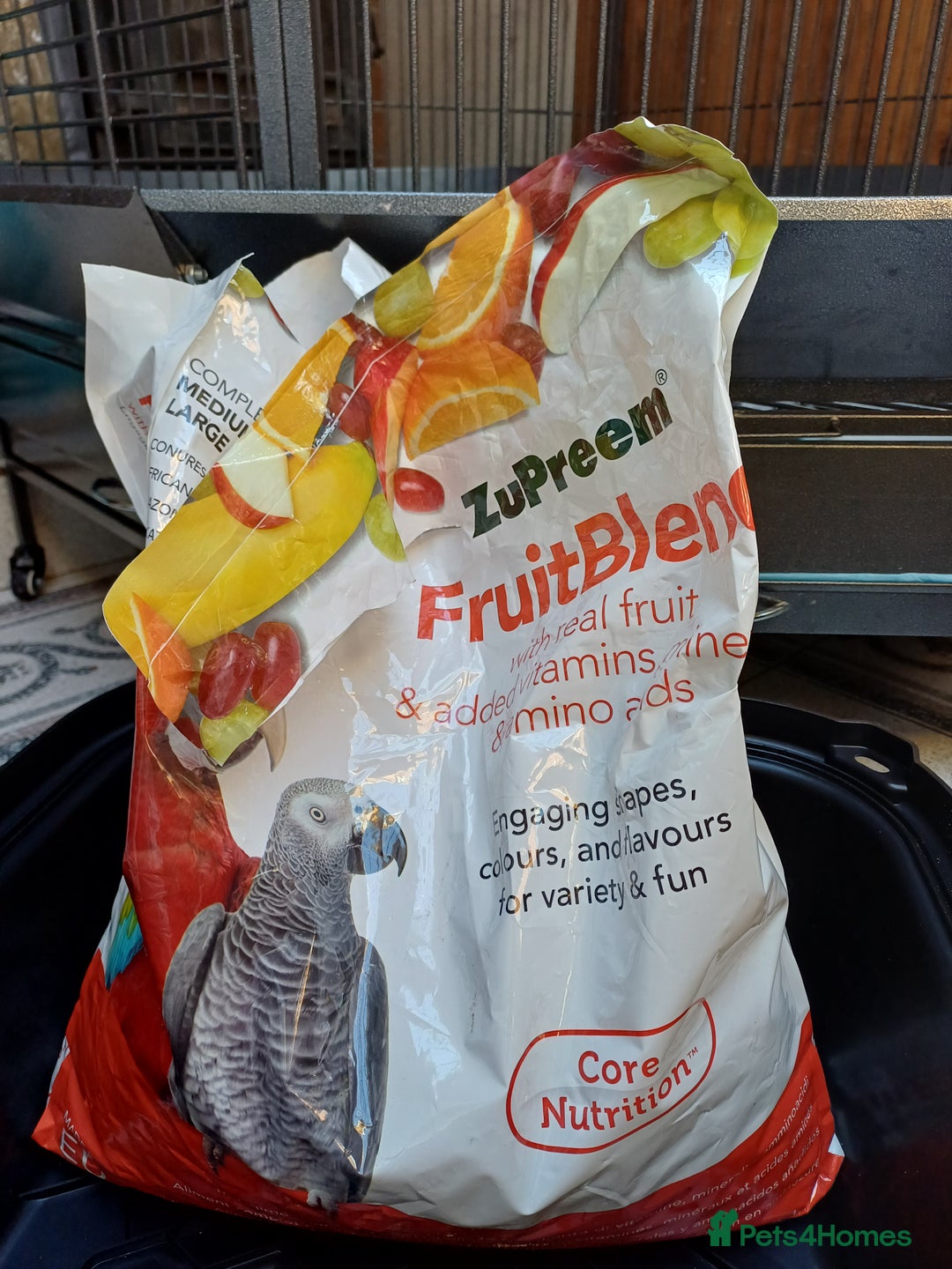 Macaws birds for sale: Blue & Gold Macaw For Sale - Image 11