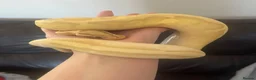 Python Snake reptiles for sale: Banana pied royal python  in Hull - Advert 1