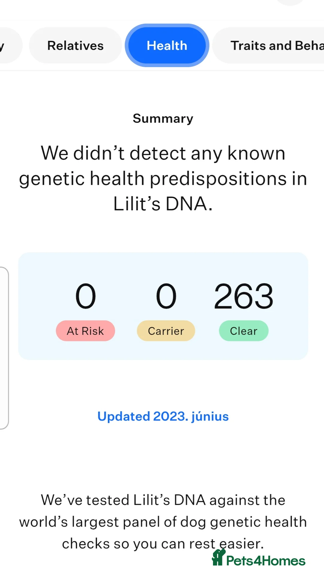 Yorkshire Terrier dogs for sale: 🤎 DNA tested mother 🤎 Blonde Yorkie girl - Advert 19