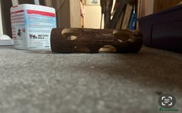 Hamster rodents for sale: Full hamster/mouse cage and setup  - Image 12