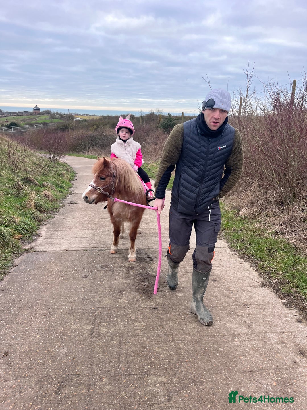 Welsh Section A horses for sale: Toni The Pony 10.3hh Mare 🦄 - Image 14
