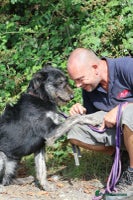 Mixed Breed dogs ROSIE - Advert 3