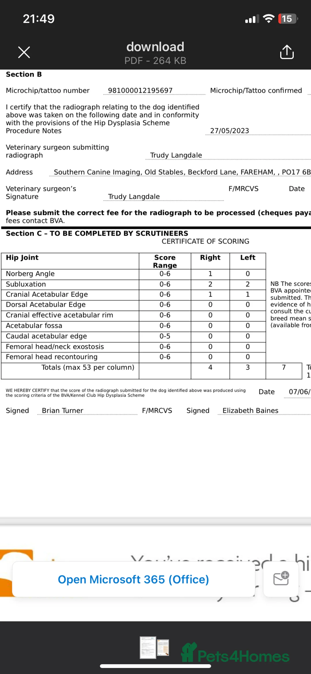 Labrador Retriever dogs for stud: KC registered, health checked, proven stud dog! in Radstock - Advert 9