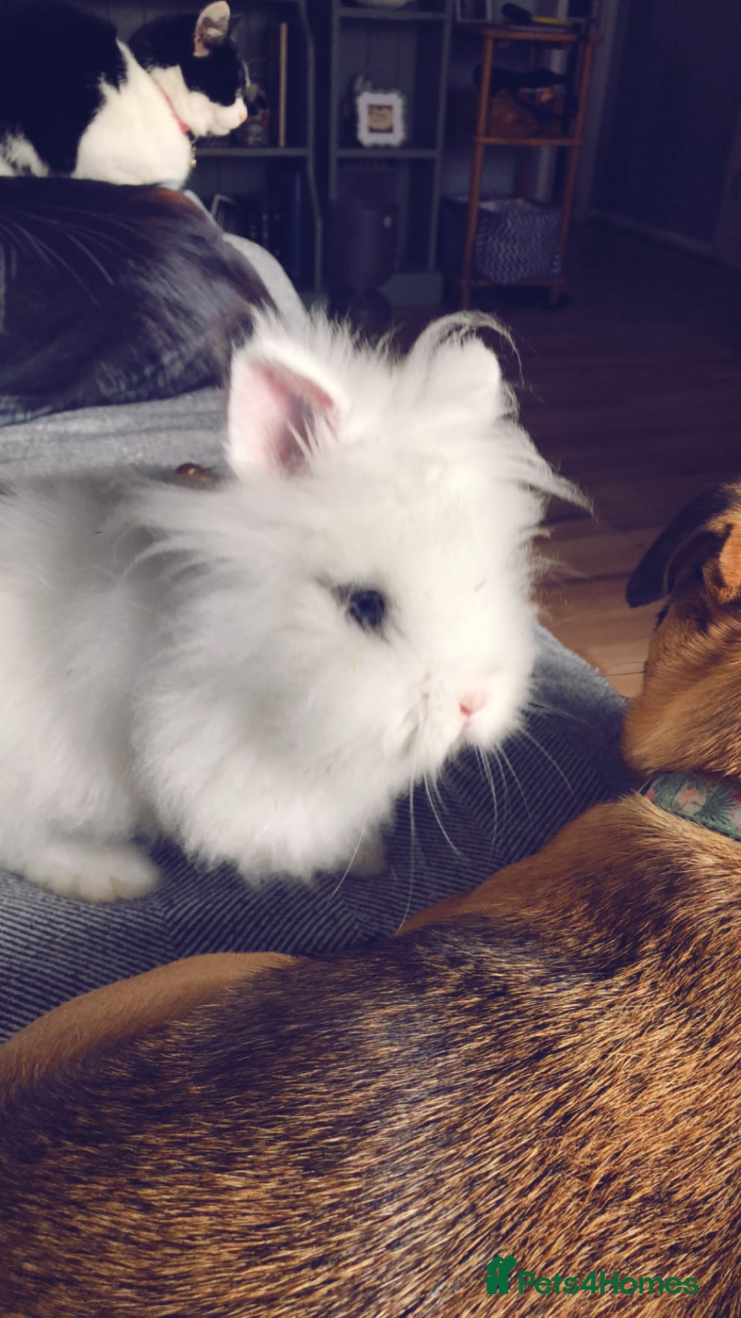 Gallery Image {{count}}