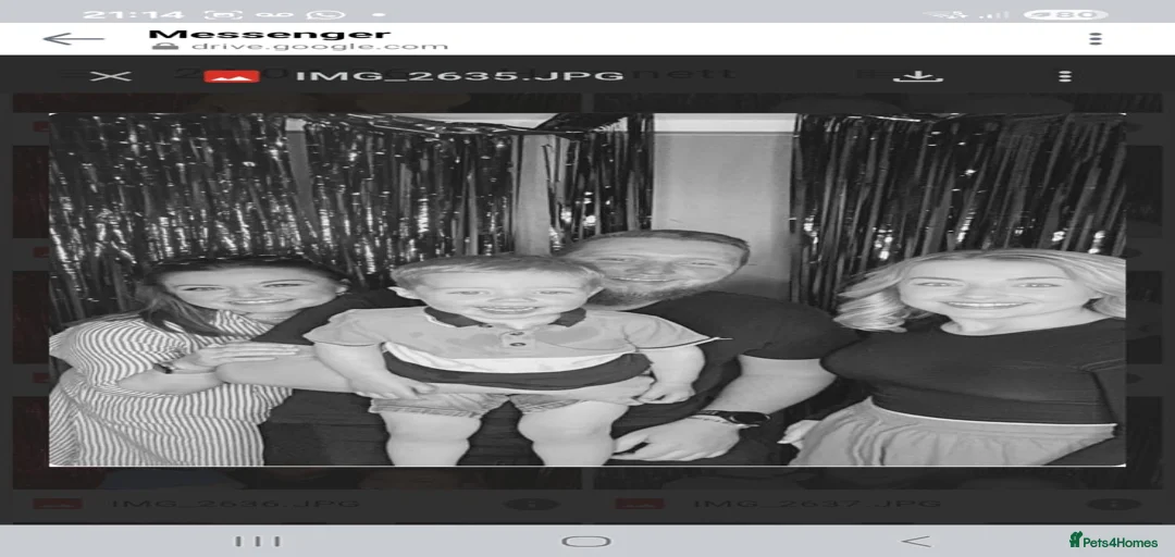 Gallery Image {{count}}