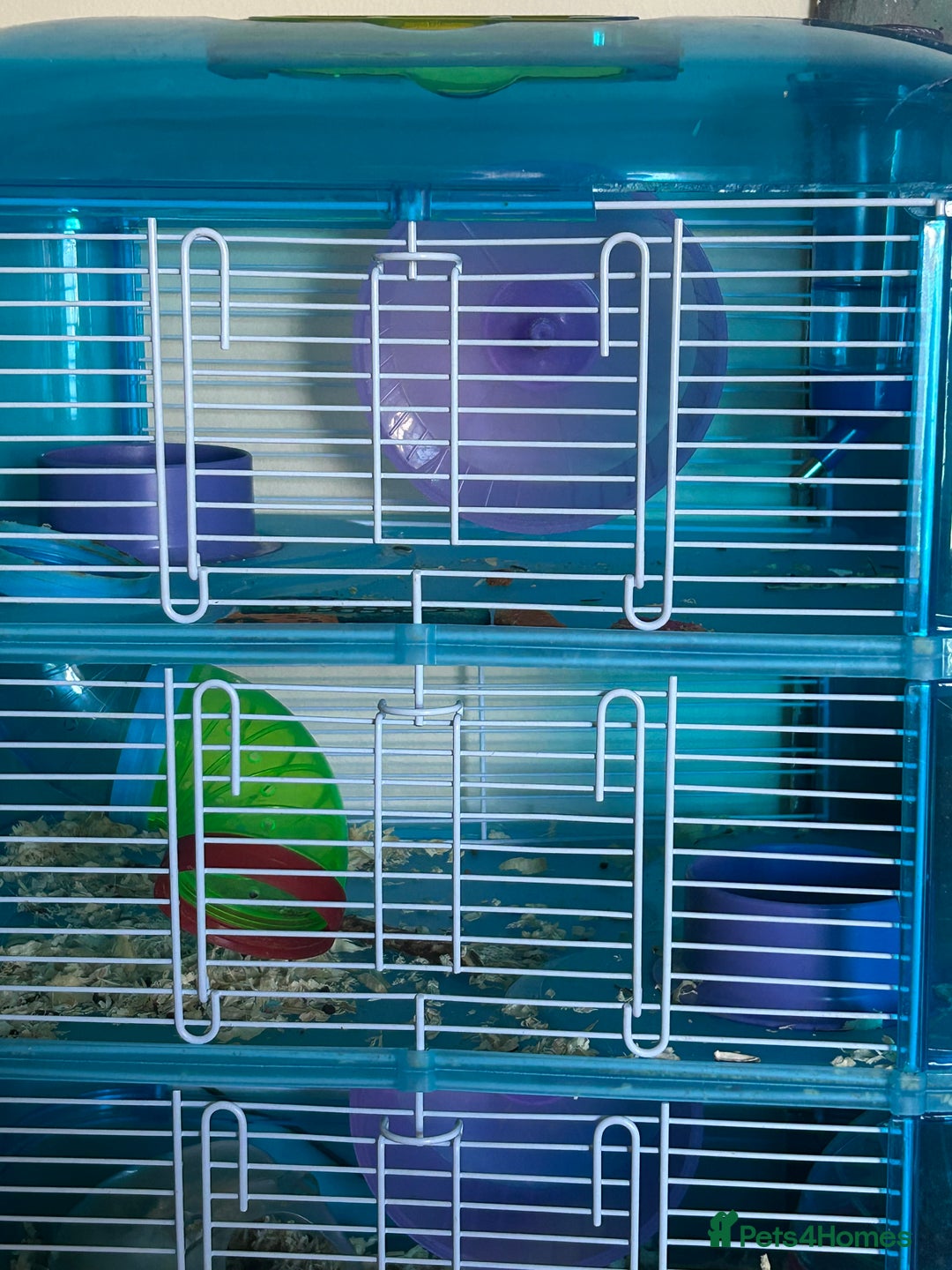 Hamster rodents for sale: 2 hamsters + cage for sale  - Image 5