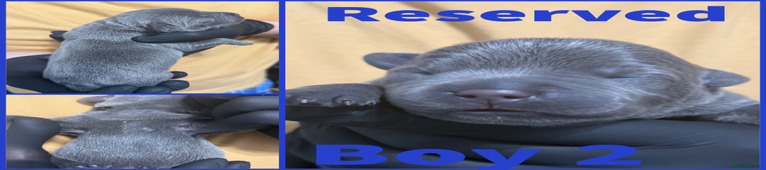 Boy 2