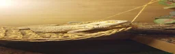 Bearded Dragon reptiles for sale: Lucifer  - Advert 3