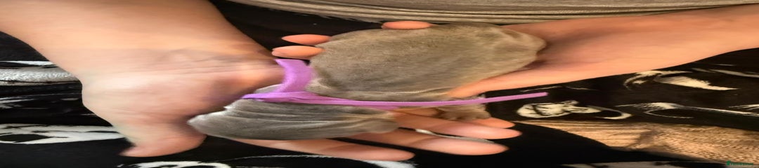 Purple Girl (Blue & Tan)