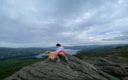 Mini Goldendoodle dogs for sale: 2 Mini Goldendoodle girls - Advert 5